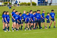 The Ponsonby U12